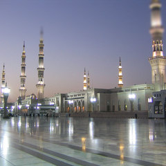 Hassan  Hefni's profile picture