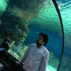 Ehsan Yari's profile picture