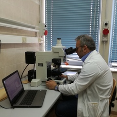 Panagiotis  Paliogiannis's profile picture