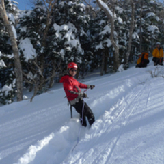 Kevin Cheng's profile picture