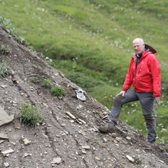 Piero Gianolla's profile picture