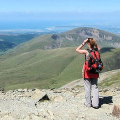 Lisa Ware's profile picture