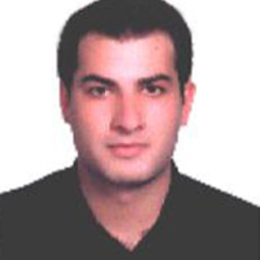 Sina Dami's profile picture