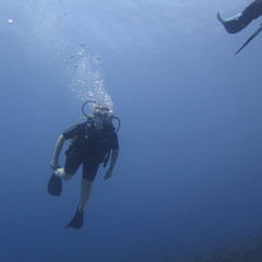 Heidi Rontu's profile picture