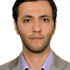 Mohammad Fasihi's profile picture