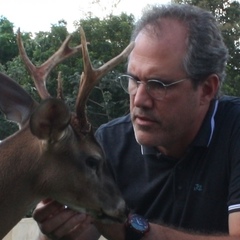 José Maurício Duarte's profile picture