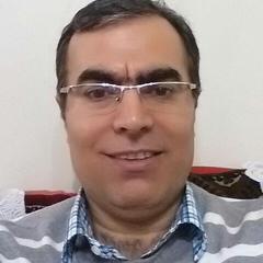 Javad Gholami's profile picture