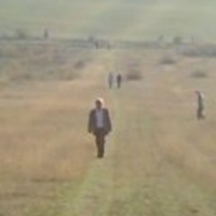 Lajos Rozsa's profile picture