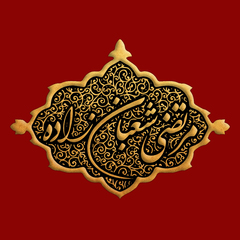 Morteza Shabanzadeh's profile picture