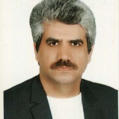 Mohammad Najafi's profile picture