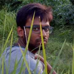 BISWAJIT BISWAS's profile picture