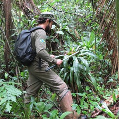 Felipe Campos's profile picture