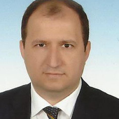 Mehmet Alkan's profile picture