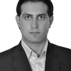 S. M Mousavi's profile picture