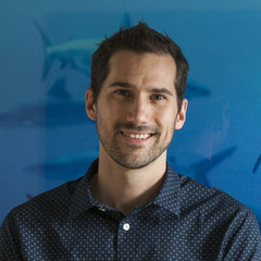 Nicholas Higgs's profile picture