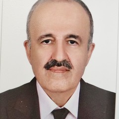 Mohammad Reza Safarinejad's profile picture
