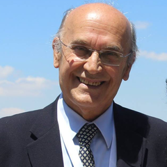 Olgun Guven's profile picture