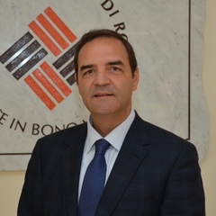 Javier Fiz Perez's profile picture