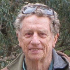 Leslie Glasser's profile picture