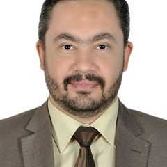 Mohamed Alayat's profile picture