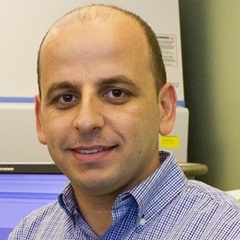 Mohammed Baalousha's profile picture