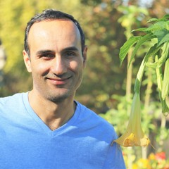 Ali Taheri's profile picture