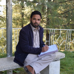 Muhammad Sherkheli's profile picture