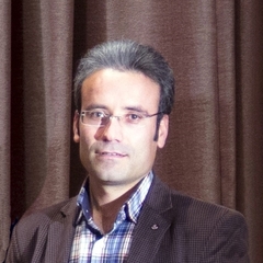 Mostafa Leili's profile picture