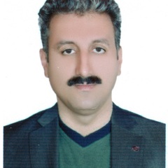 Behzad Shahmoradi's profile picture