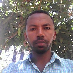 Tegene Legese's profile picture