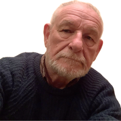 Stephen Roulston's profile picture