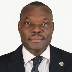 Wellington Oyibo's profile picture