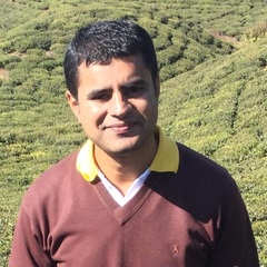 Vivek Singh's profile picture