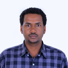 Melese Legese's profile picture