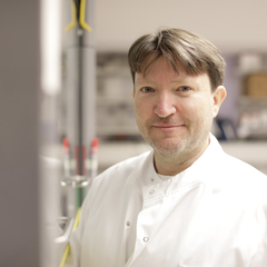 Kai Hilpert's profile picture