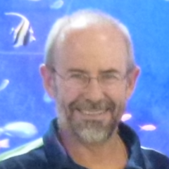 José Muelbert's profile picture