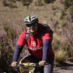 Jesús Enrique Escalante-Martínez's profile picture