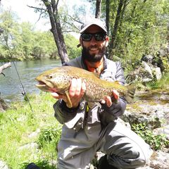 Javier  Sánchez-Hernández's profile picture