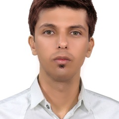 Seyed Mohammad Amin Kormi's profile picture