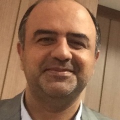 Seyyed Babak Alavi's profile picture