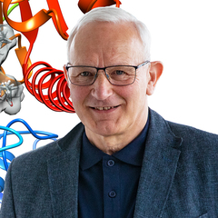 Dietmar Manstein's profile picture