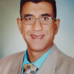 Adel A. Elbaset's profile picture