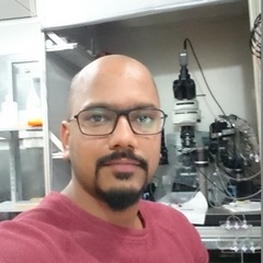 Darpan Chakraborty's profile picture