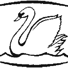 Julie Swann's profile picture