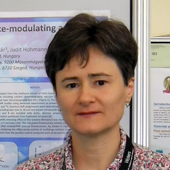 Dóra Rédei's profile picture