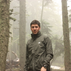 Safa Balekoglu's profile picture