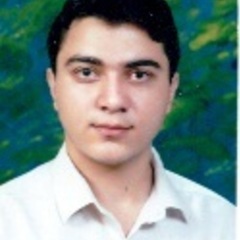 Pedram Rezazadeh Tehrani's profile picture