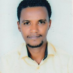 Fekadu Melak Assaye's profile picture