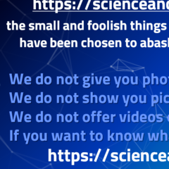 Catalin Silviu Nutu's profile picture