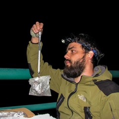 Francisco Amorim's profile picture